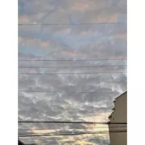 ほのか