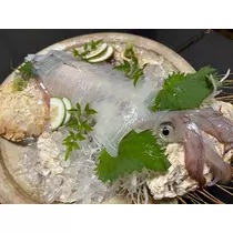 椿