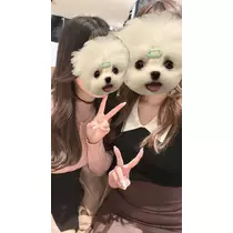 天月 あすな
