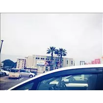桃瀬 百華
