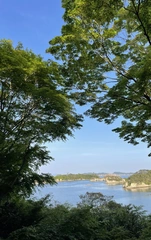 初投稿🕊️