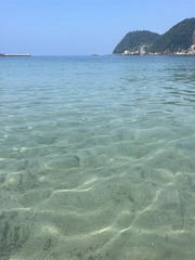 おはようございます