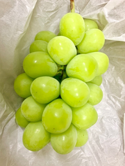 今年も美味しい🍇