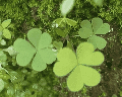 🍀