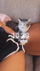 ニナの日記 20230313