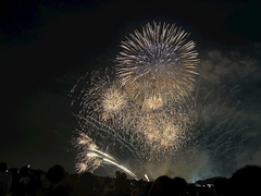 花火~🎆