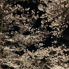 みなの日記 20230702