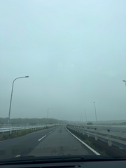 6月完