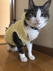 おはようございます☀