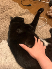 金曜日！！
