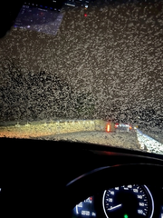 ☃🌨️❄️