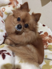 出勤してますー