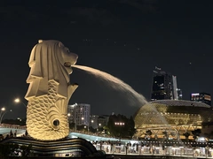 🇸🇬