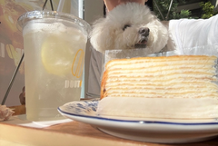愛しのわんころりん