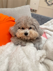 にこにこ