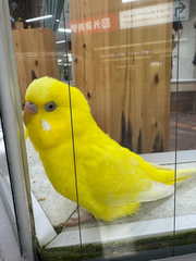 こんにちは