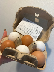 こんにちは