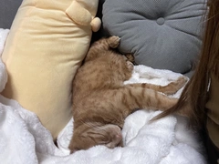 こんばんわ🎶