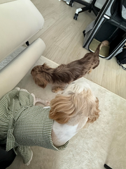 まみのお家でたこ焼き