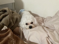 おきゅいん❤︎
