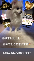 あけましておめでとうございます。