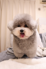 トリミングしました