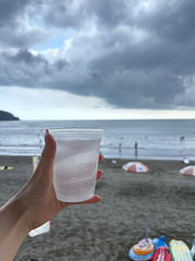 お疲れ様です🍻