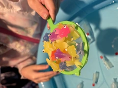 金魚すくい