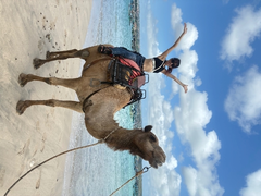🇮🇩で🐪に30