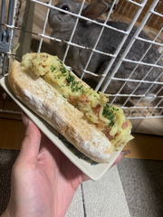 🥖🍞