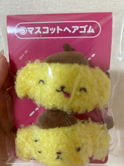 ヘアゴムもゲットしたの！！