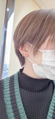 やっと復活