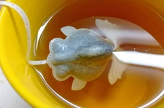 ぷかぷか