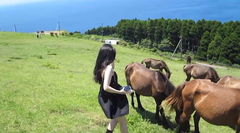 宮崎行ってきた🏝️