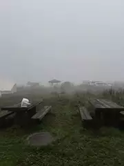 むぎの日記 20251104