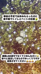 はづきの日記 20250201