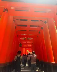 みゆきの日記 20250508-2