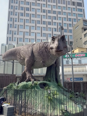 福井🦖"