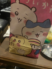 (♡ᴗ͈ˬᴗ͈)ペコリ｡:.゜