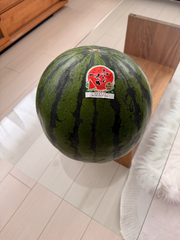 大好きなスイカ🍉
