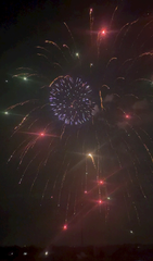 花火🎆🩷