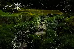 みおの日記 20260703