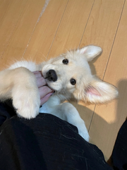 こんにちは