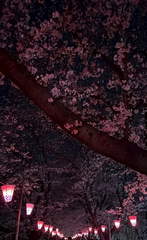 春の訪れ🌸圧倒的に大優勝のさくら🙌🏻