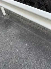 こんばんは