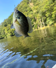 釣り～🎣