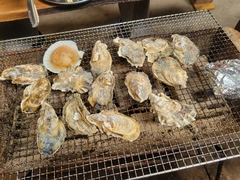 今回は、、！
