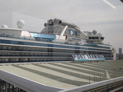 ダイヤモンド・プリンセス⛴️