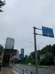 雨降りな土曜日