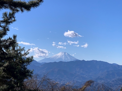 高尾山トレイル